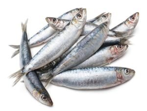Foods to Avoid During Pregnancy