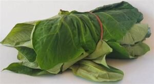 Best Foods for Toddlers